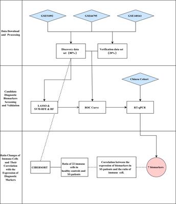 Screening biomarkers for Sjogren’s Syndrome by computer analysis and evaluating the expression correlations with the levels of immune cells